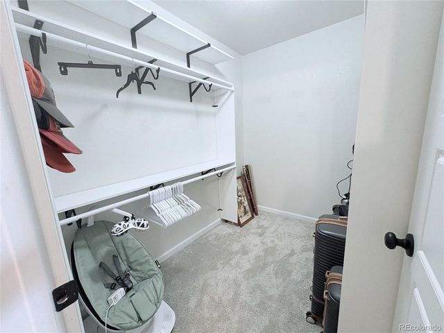 12648 Canoe St, Longmont, CO 80504