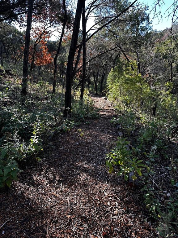 1626 Westlake DR, West Lake Hills, TX 78746