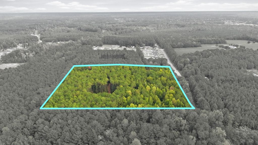 Lot 3 Daphane Dr., Loris, SC 29569 — photo 2