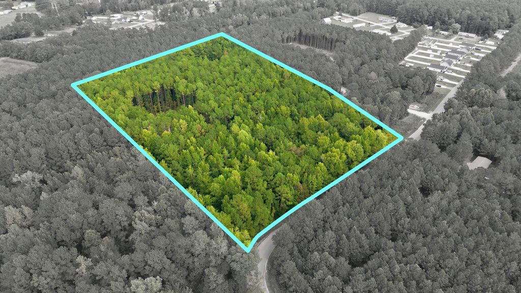 Lot 3 Daphane Dr., Loris, SC 29569 — photo 3