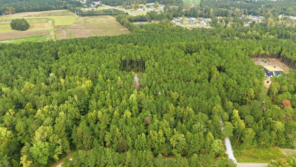 Lot 3 Daphane Dr., Loris, SC 29569 — photo 5