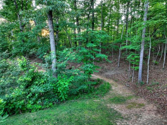 270 Wild Oaks Way, Ellijay, GA 30540