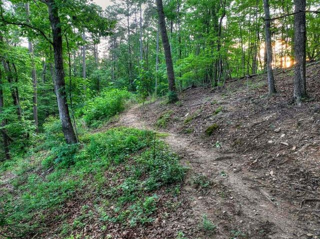 270 Wild Oaks Way, Ellijay, GA 30540