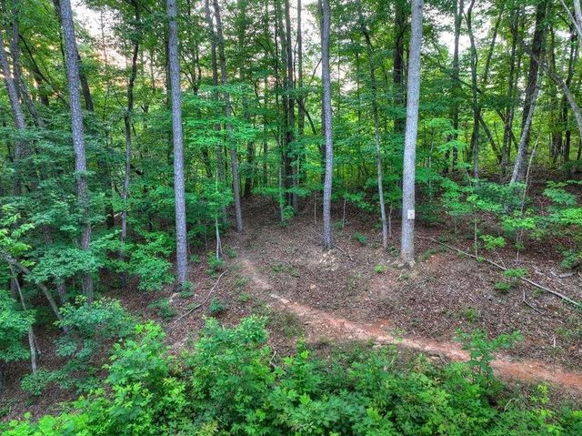 270 Wild Oaks Way, Ellijay, GA 30540
