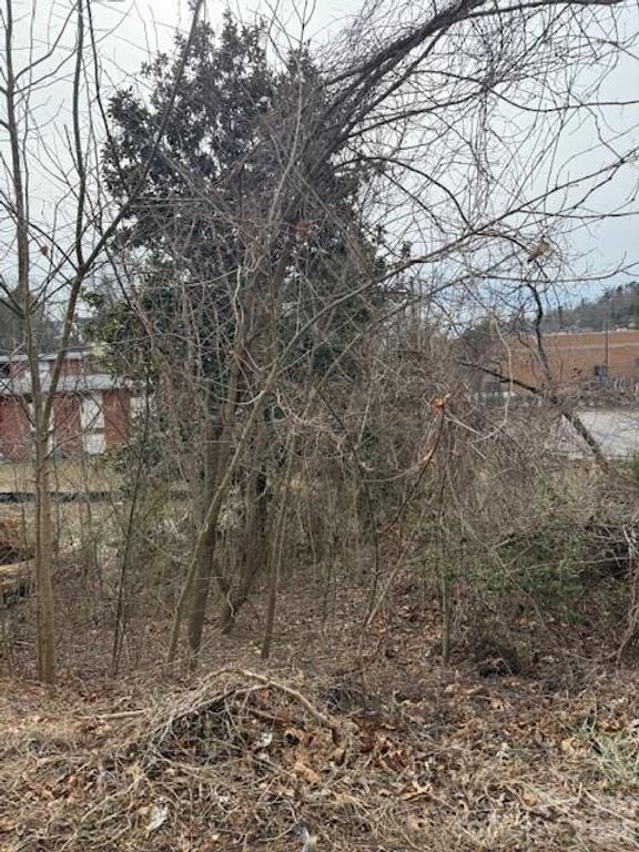 33 Johnson Drive 1, Asheville, NC 28804