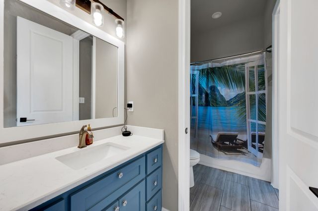 307 Terrace Lane, Cedar Hill, TX 75104
