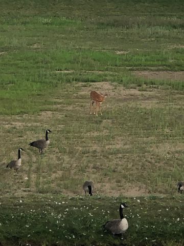 5102 Sheffer Farm Road, Garfield Twp, MI 49685