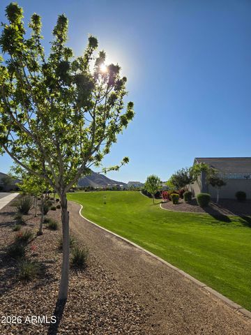 35191 N DANBURITE Court, San Tan Valley, AZ 85144
