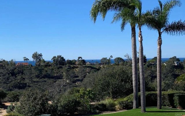 14295 Recuerdo Dr, Del Mar, CA 92014