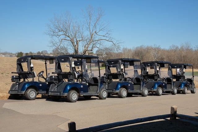 1525 Gray Fox Ln, Spring Hill, TN 37174