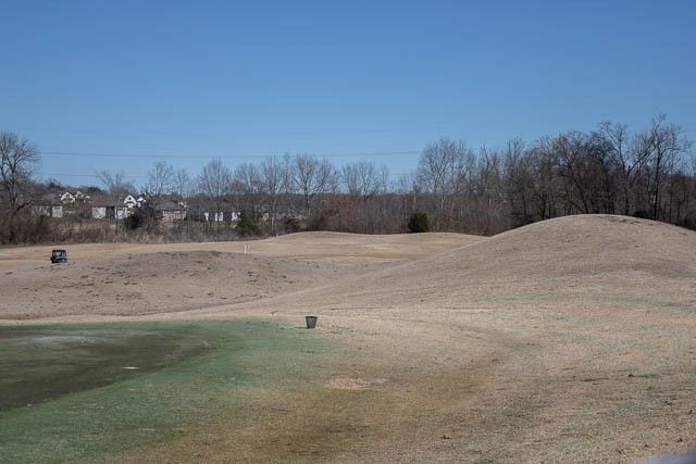 1525 Gray Fox Ln, Spring Hill, TN 37174