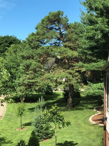 900 12th Avenue SW, Rochester, MN 55902