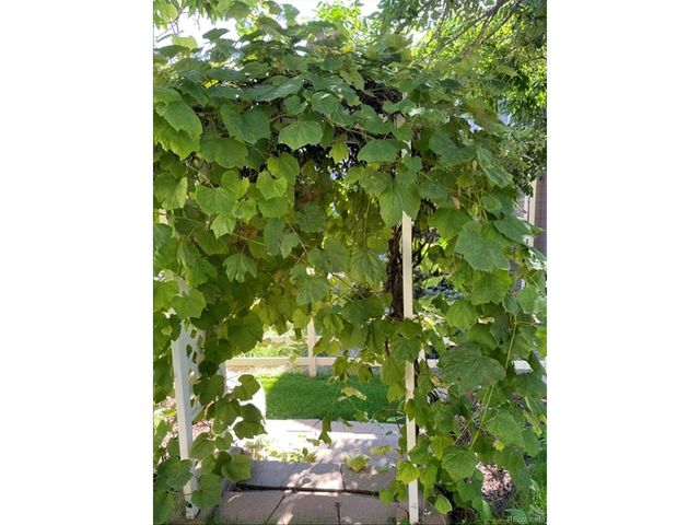 13082 Tejon Ct, Denver, CO 80234