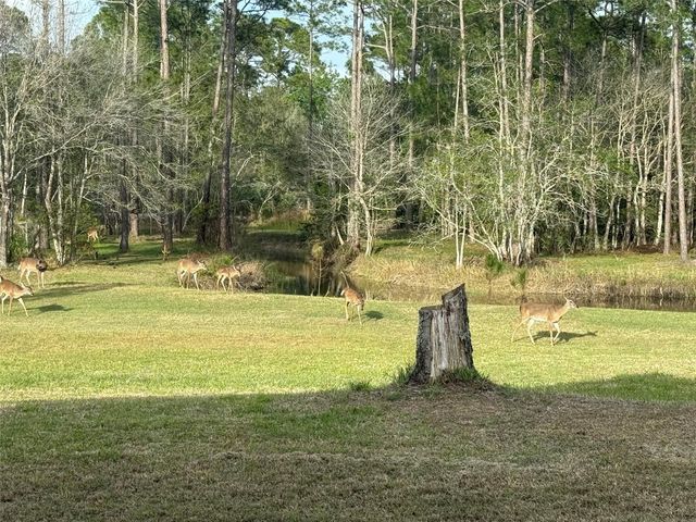 204 EL PINO DRIVE, New Smyrna Beach, FL 32168
