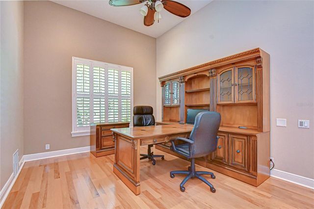 21338 LAKE VIENNA DRIVE DRIVE, Land O Lakes, FL 34638