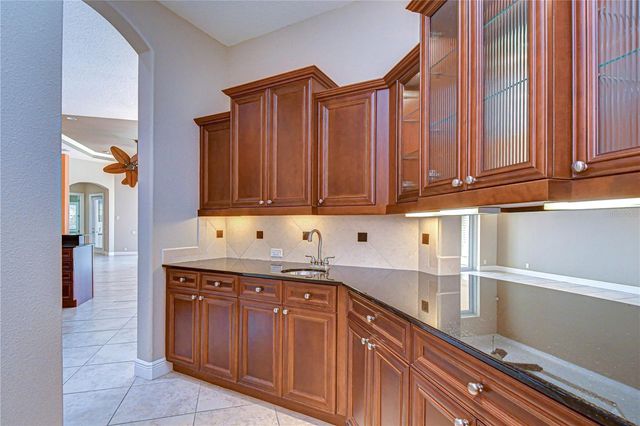 21338 LAKE VIENNA DRIVE DRIVE, Land O Lakes, FL 34638