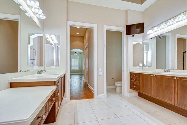 21338 LAKE VIENNA DRIVE DRIVE, Land O Lakes, FL 34638