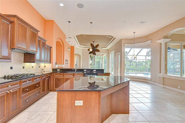 21338 LAKE VIENNA DRIVE DRIVE, Land O Lakes, FL 34638