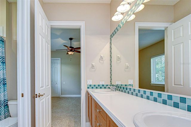 21338 LAKE VIENNA DRIVE DRIVE, Land O Lakes, FL 34638