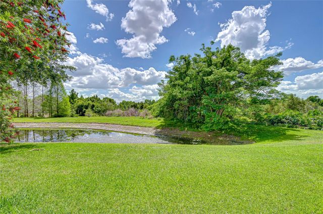 21338 LAKE VIENNA DRIVE DRIVE, Land O Lakes, FL 34638