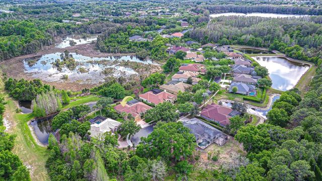 21338 LAKE VIENNA DRIVE DRIVE, Land O Lakes, FL 34638