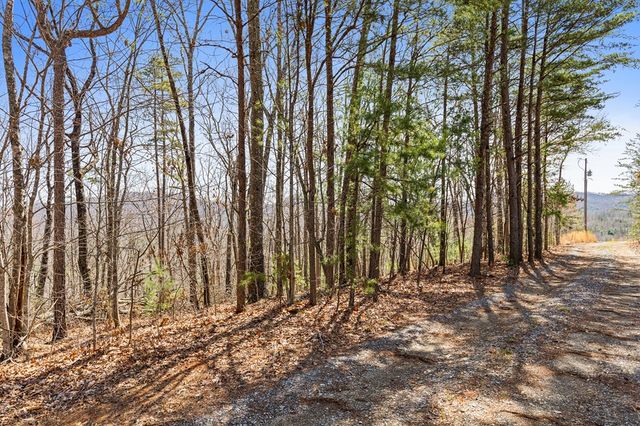 40B Synacia Road, Mineral Bluff, GA 30559