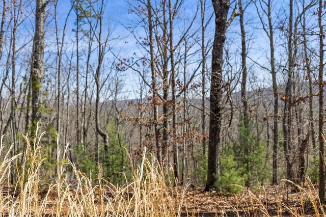 40B Synacia Road, Mineral Bluff, GA 30559