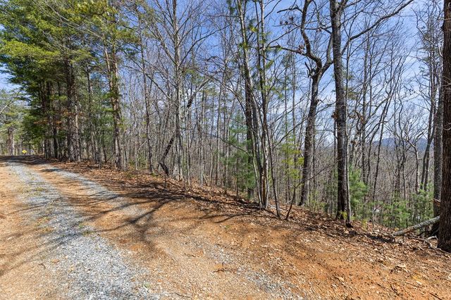 40B Synacia Road, Mineral Bluff, GA 30559