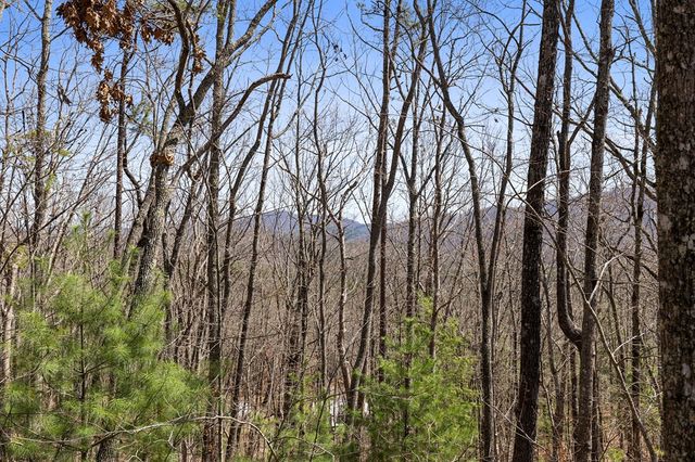 40B Synacia Road, Mineral Bluff, GA 30559