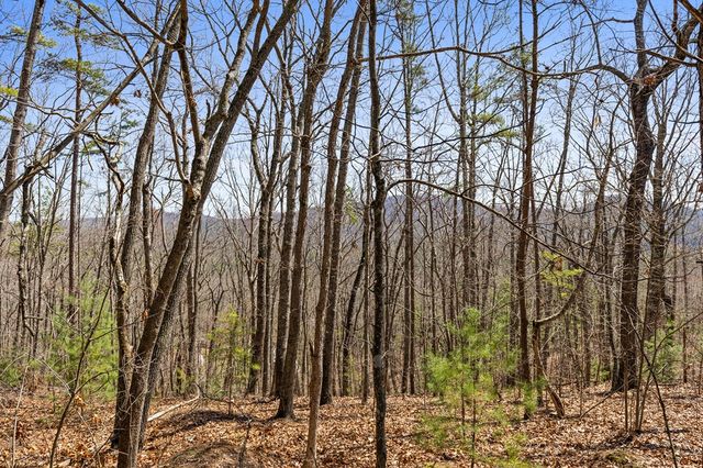 40B Synacia Road, Mineral Bluff, GA 30559