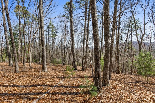 40B Synacia Road, Mineral Bluff, GA 30559