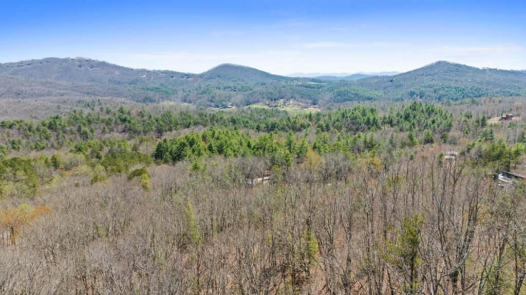 40B Synacia Road, Mineral Bluff, GA 30559