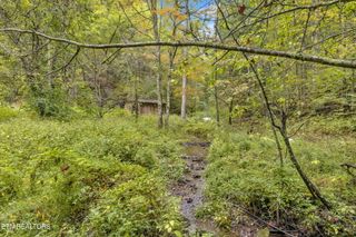 399 Cooper Rd, Vonore, TN 37885