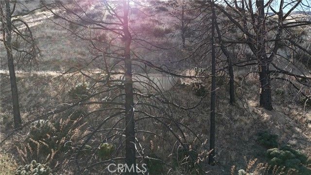 0 Juniper Hills Road, Juniper, CA 93543