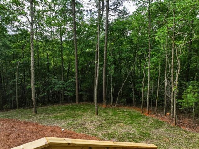 257 Gallery Court, Ellijay, GA 30540