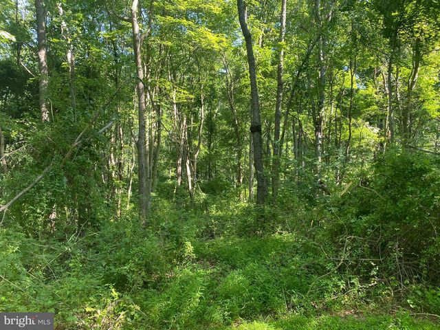 COON CLUB, Hampstead, MD 21074
