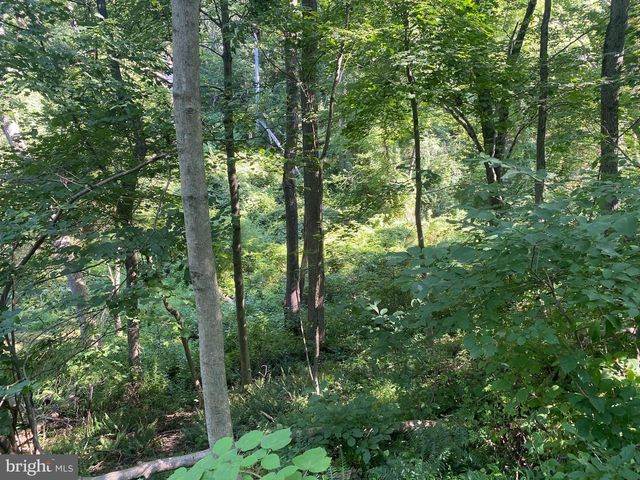 COON CLUB, Hampstead, MD 21074