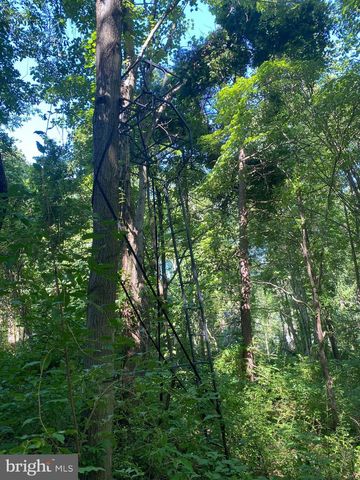 COON CLUB, Hampstead, MD 21074