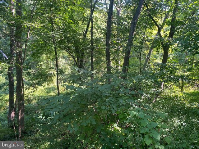 COON CLUB, Hampstead, MD 21074