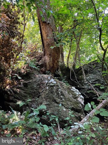 COON CLUB, Hampstead, MD 21074