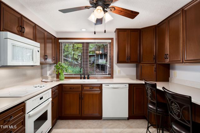 3616 Cimarron Drive, Johnson City, TN 37601