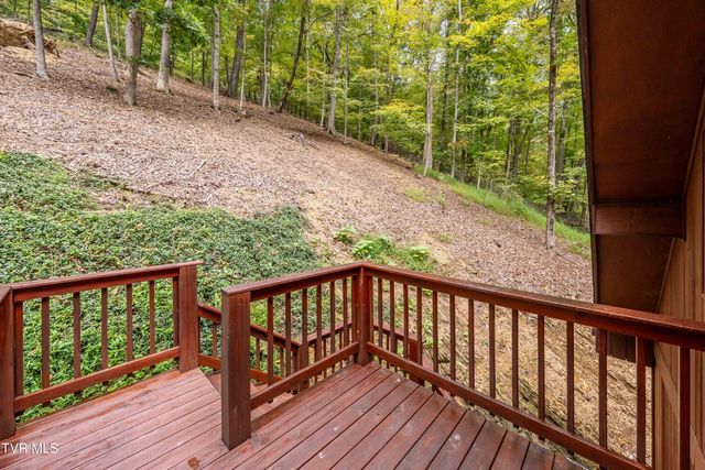 3616 Cimarron Drive, Johnson City, TN 37601