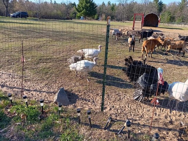 1889 E 40th Street, White Cloud, MI 49349