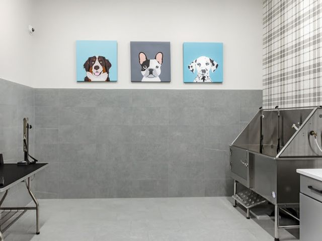 250 McHenry Road C1, Buffalo Grove, IL 60089