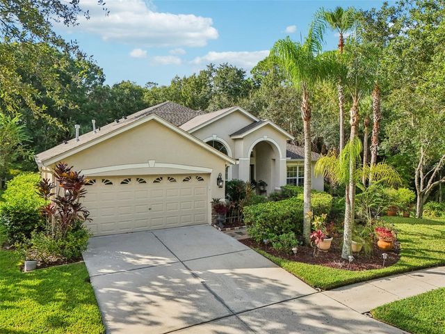 8257 SWANN HOLLOW DRIVE, Tampa, FL 33647