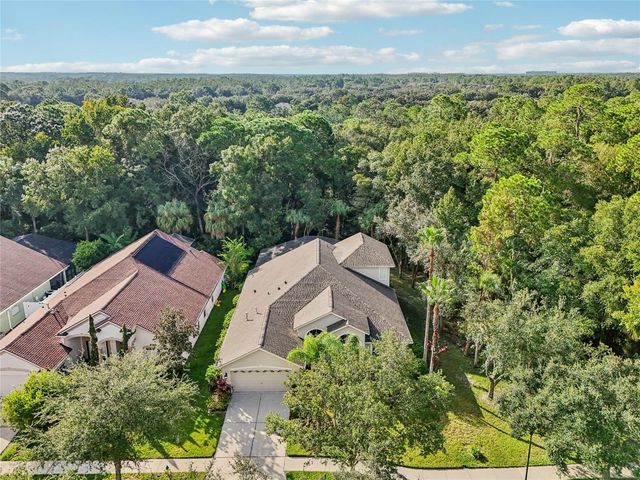 8257 SWANN HOLLOW DRIVE, Tampa, FL 33647