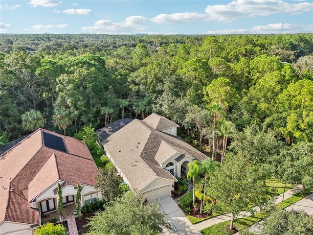 8257 SWANN HOLLOW DRIVE, Tampa, FL 33647