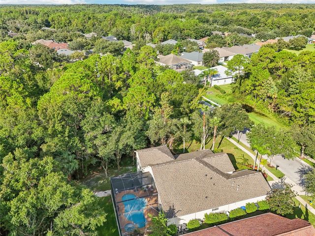 8257 SWANN HOLLOW DRIVE, Tampa, FL 33647