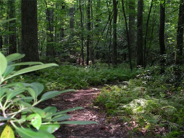 110 Fort Gibson Court, Waleska, GA 30183