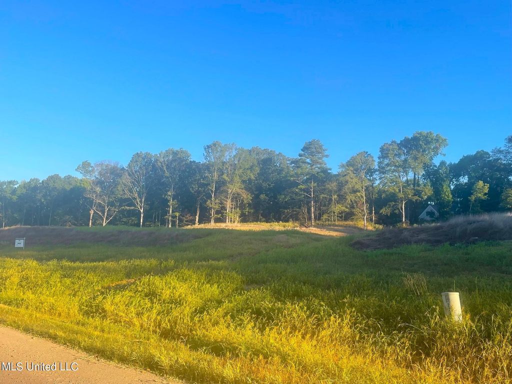 7 Plank Road, Hernando, MS 38632 — exterior